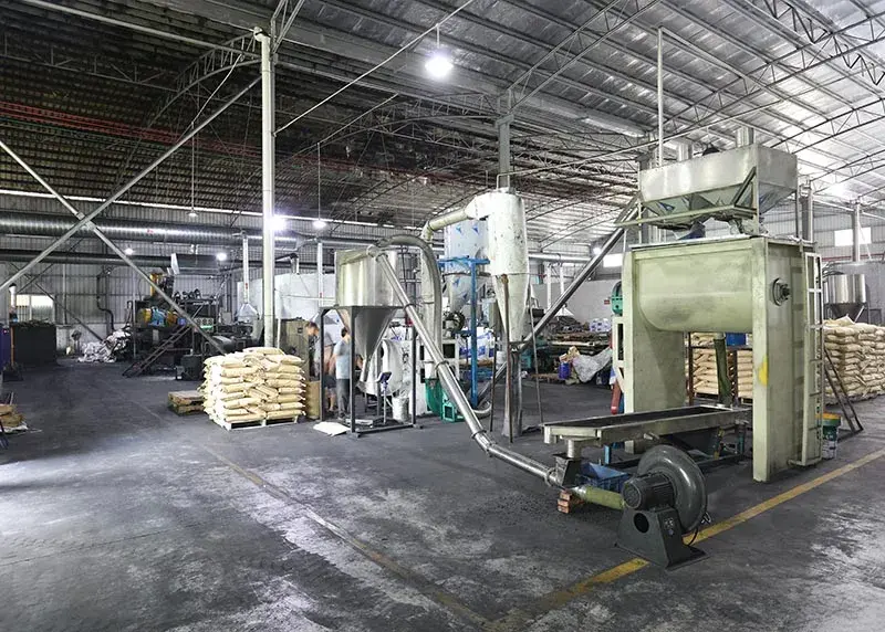 Lignes d'Extrusion Avancées